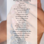 Bring Me Healing prayer PDF