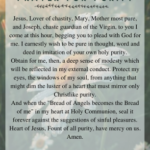Prayer for Purity PDF