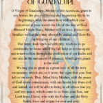 Prayer to the Virgin of Guadalupe PDF