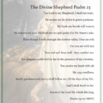 The Divine Shepherd Psalm 23 PDF