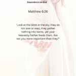 Journey with the Messiah - Matthew 6.26 pdf