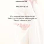 Journey with the Messiah - Matthew 6.28 pdf