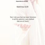 Journey with the Messiah - Matthew 6.29 pdf