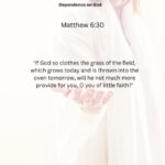 Journey with the Messiah - Matthew 6.30 pdf