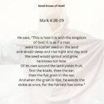 Journey with the Messiah - Mark 4.26-29