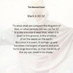 Journey with the Messiah - Mark 4.30-32