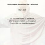 Journey with the Messiah - Mark 5.39 PDF