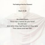 Journey with the Messiah - Mark 6.38 PDF