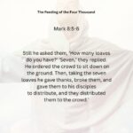 Journey with the Messiah - Mark 8.5-6 PDF