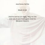 Journey with the Messiah - Mark 11.14 pdf