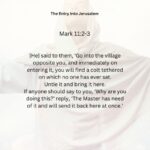 Journey with the Messiah - Mark 11.2-3 pdf