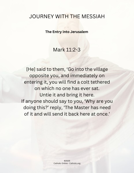 Journey with the Messiah - Mark 11.2-3 pdf