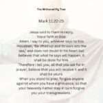 Journey with the Messiah - Mark 11.22-25 pdf