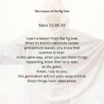 Journey with the Messiah - Mark 13.28-30 pdf