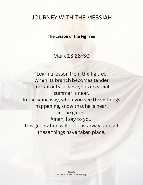 Journey with the Messiah - Mark 13.28-30 pdf