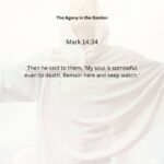 Journey with the Messiah - Mark 14.34 pdf