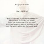 Journey with the Messiah - Mark 14.37-38 pdf