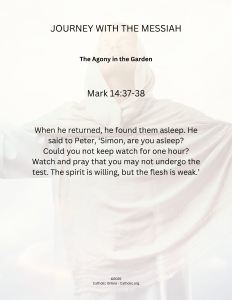 Journey with the Messiah - Mark 14.37-38 pdf