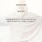 Journey with the Messiah - Mark 15.2 pdf