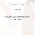 Journey with the Messiah - Luke 2.49 pdf
