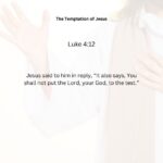 Journey with the Messiah - Luke 4.12 pdf