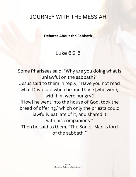 Journey with the Messiah - Luke 6.2-5 pdf