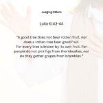 Journey with the Messiah - Luke 6.43-44 pdf