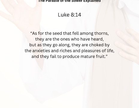 Journey with the Messiah - Luke 8.14 pdf
