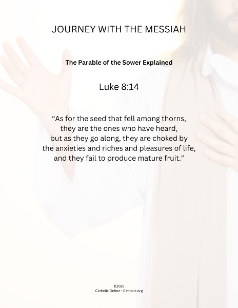 Journey with the Messiah - Luke 8.14 pdf