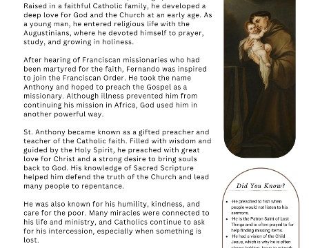 St Anthony of Padua bio pdf