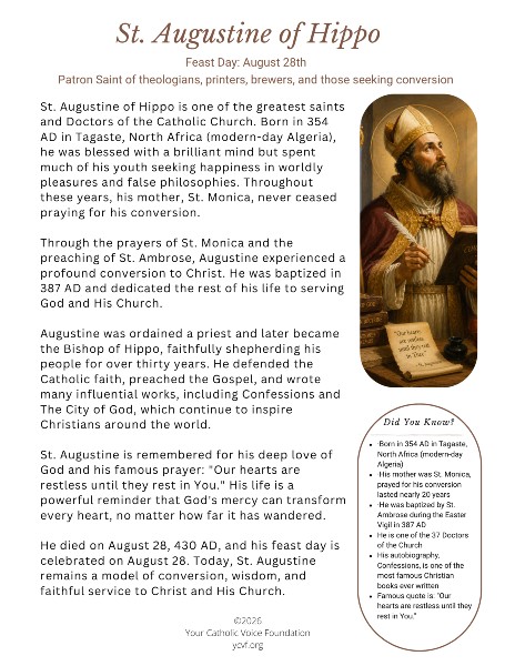 St. Augustine of Hippo Bio (FREE PDF)