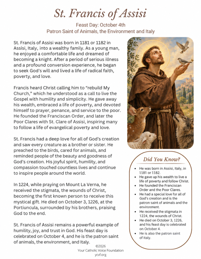 St. Francis of Assisi Bio PDF