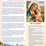 Mary, Mother of God Infographic