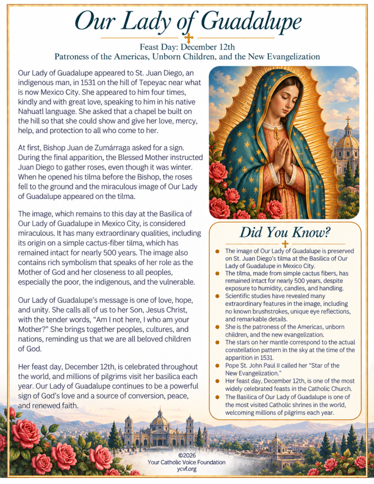 Our Lady of Guadalupe
