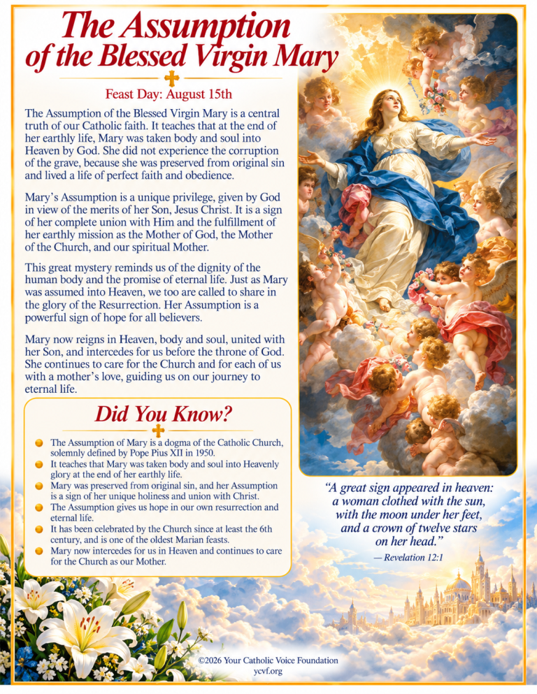 The Assumption_ Mary’s Heavenly Glory
