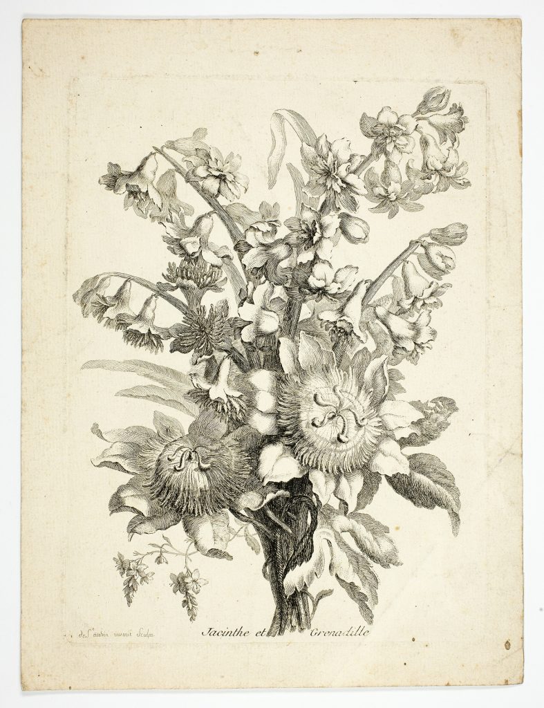 Hyacinthe and Passion Fruit Flower